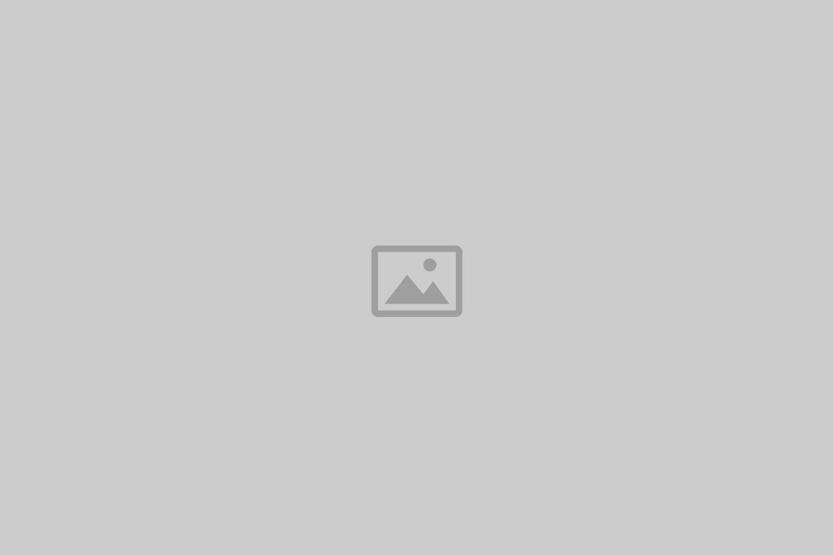 A blank image